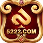 5222.com
