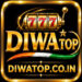 Diwa top